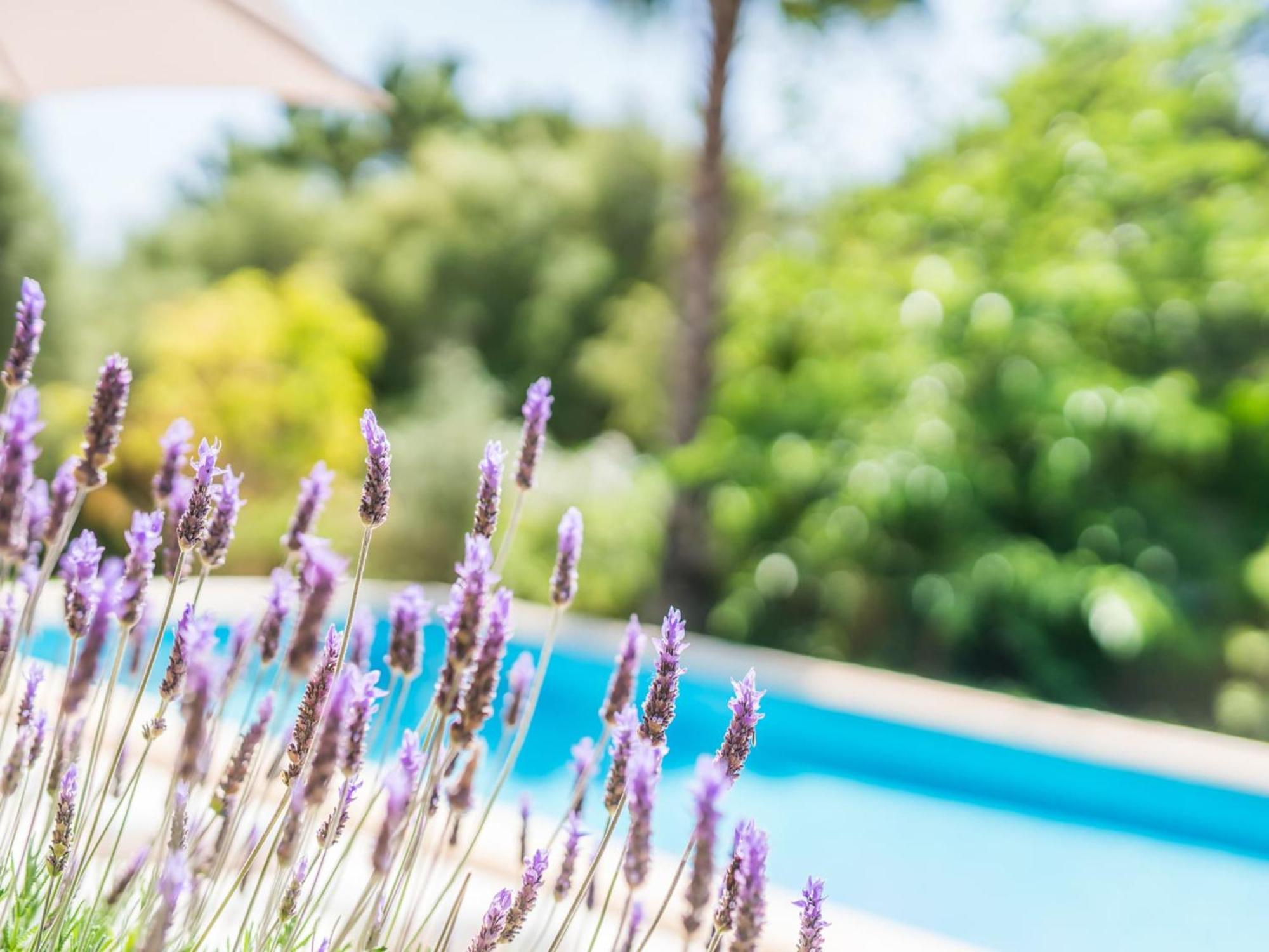 Ferienhaus Mallorcan In Sa Pobla